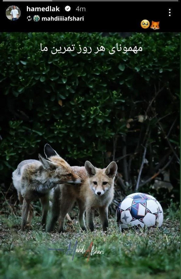 رونمایی حامد لک از مهمانان بامزه تمرین مس