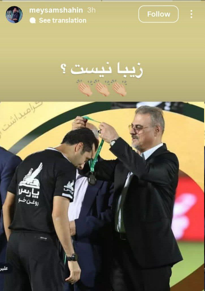 مدال قهرمانی بر گردن داور فینال استقلال و ملوان سوژه شد