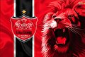 پرسپولیس امروز با ۲ بازیکن تمدید می‌کند