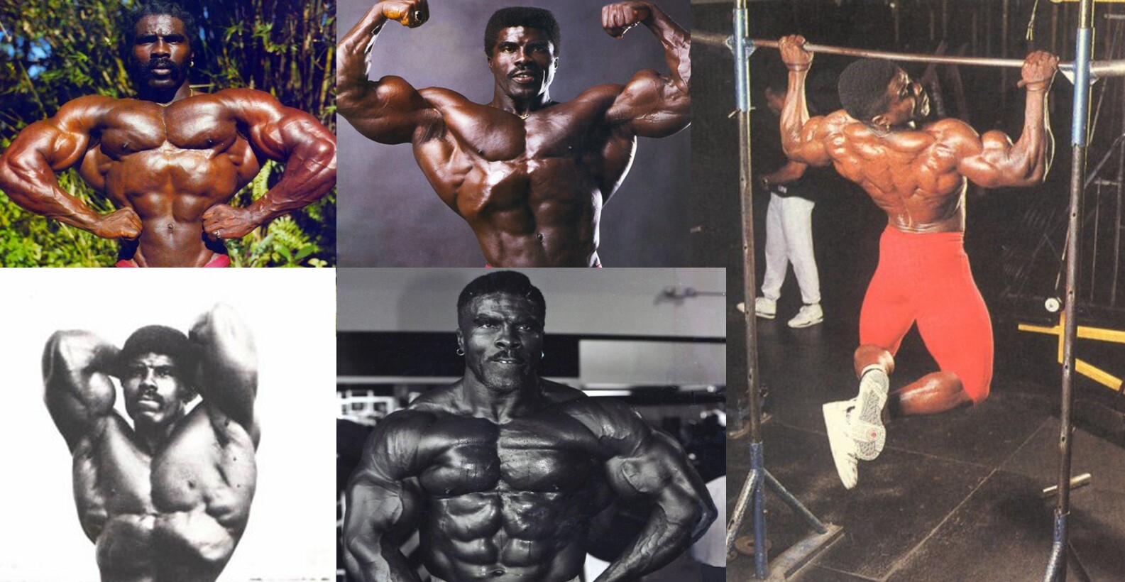 رابی رابینسون کیست؟ آشنایی با رابی رابینسون، آقای لایفاستایل بدنسازی؛ از تحمل کمخونی داسیشکل تا نایب قهرمانی مستر المپیا؛ شاهزاده سیاه دنیای پرورش اندام رابی رابینسون کیست؟ آشنایی با رابی رابینسون، آقای لایفاستایل بدنسازی؛ از تحمل کمخونی داسیشکل تا نایب قهرمانی مستر المپیا؛ شاهزاده سیاه دنیای پرورش اندام