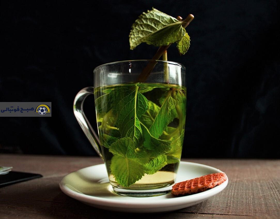 چای سبز و ورزش: راز ضداکسیداسیون طبیعی بدن برای بازسازی بهتر عضلات چای سبز و ورزش: راز ضداکسیداسیون طبیعی بدن برای بازسازی بهتر عضلات