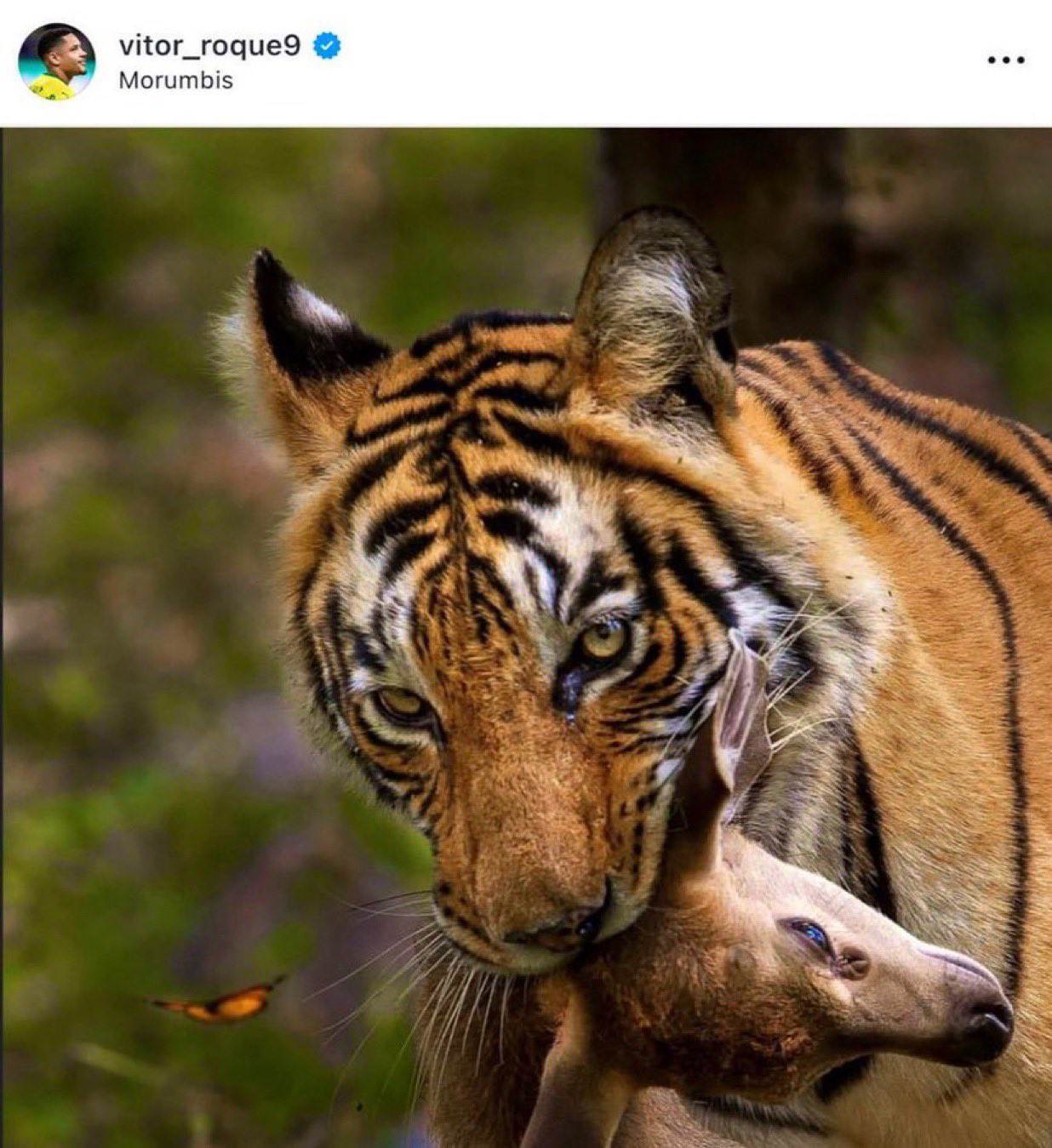 مهاجم سابق بارسلونا متهم به اقدام همجنسگراستیزانه؛ احتمال ۱۰ جلسه محرومیت!