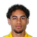 آنتونی هنری زو اویونو اوموا تورک