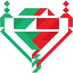 تصویر جام حذفی پرتغال