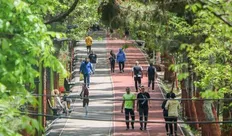 مجموعه ورزشی انقلاب تعطیل شد!