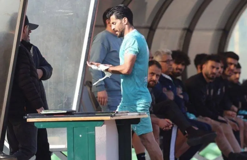 فرید امیری