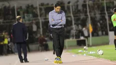 تصویر خبر پرسپولیس در آستانه تغییر بزرگ؛ کریم باقری جانشین موقت هاشمیان؟