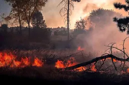 فاجعه در جنگل&zwnj;های هیرکانی؛ آیا آتش&zwnj;سوزی الیت هنوز ادامه دارد؟ ردپای خطای انسانی در شعله&zwnj;های مهارنشده
