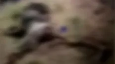 تصویر خبر تصاویر تازه از پیکر الهه حسین نژاد؛ چه بر سر جسد آمده؟