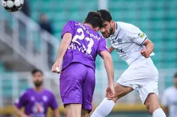 شانس خوب هوادار برای بقا