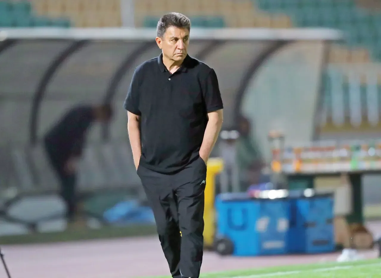 امیر قلعه نویی