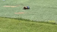 ترکش به جا در زمین فوتبال