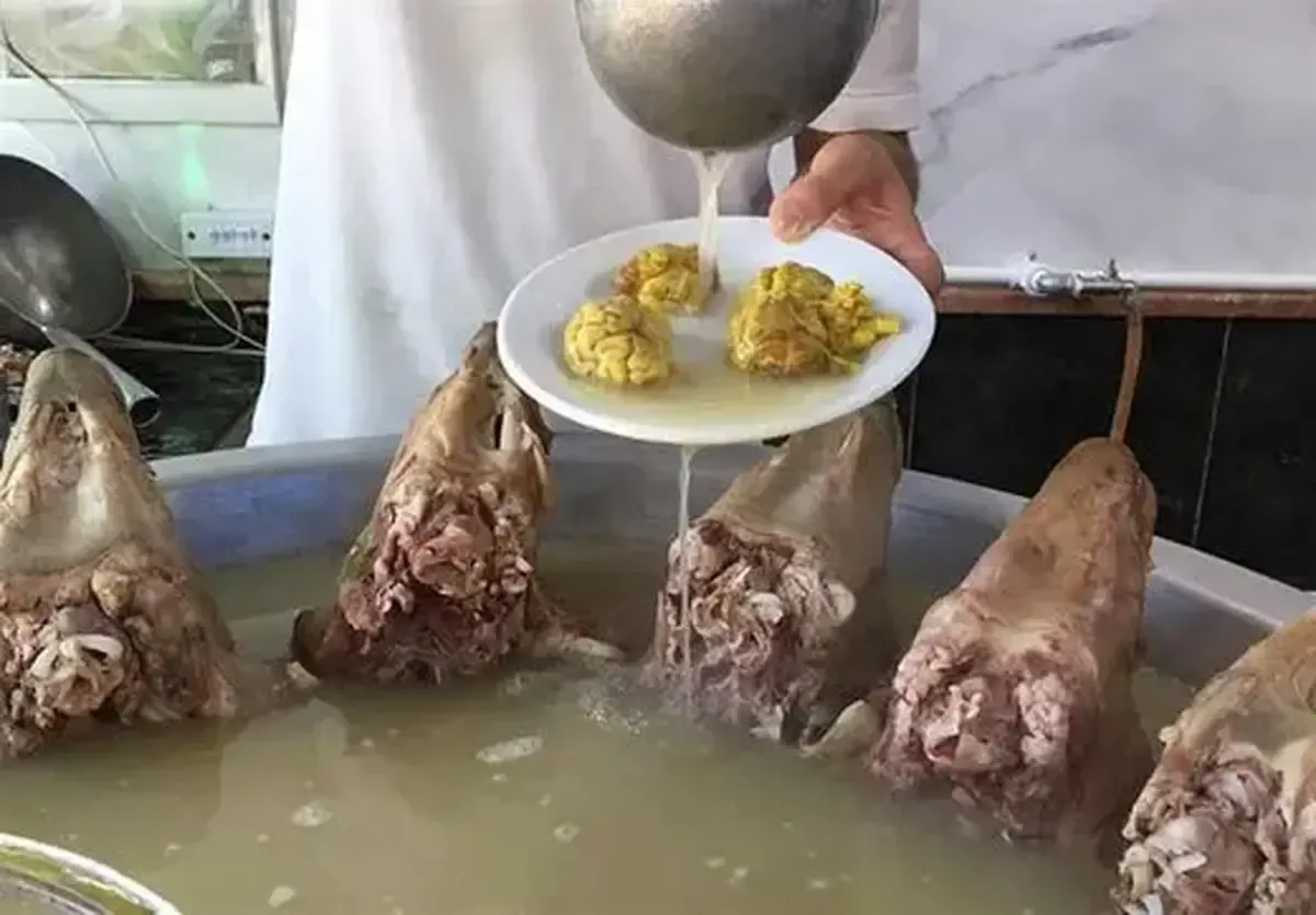 عجیب اما واقعی بازهم سرقت کله پاچه!