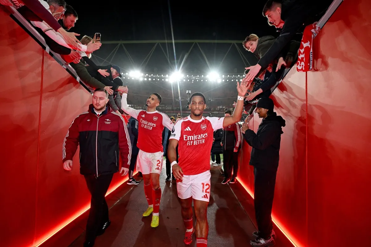 ویلیام سالیبا و یورین تیمبر 