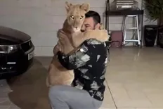 تصویر خبر توله&zwnj;شیر امیر علی&zwnj;اکبری در پارک ارم تلف شد