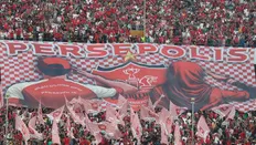 پرسپولیس فقط یک سهمیه لیگ برتری برایش باقی مانده!