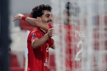 مهدی هاشم نژاد