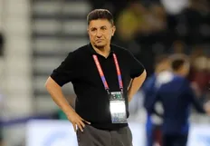 امیر قلعه نویی