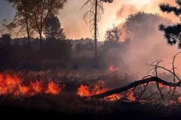 فاجعه در جنگل&zwnj;های هیرکانی؛ آیا آتش&zwnj;سوزی الیت هنوز ادامه دارد؟ ردپای خطای انسانی در شعله&zwnj;های مهارنشده