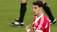 الکساندر پاولوویچ