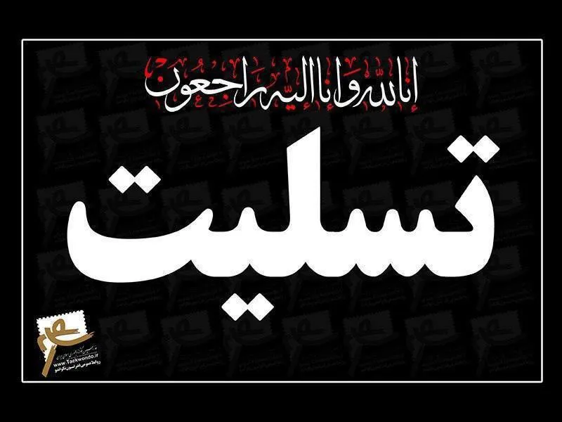 بیانیه فدراسیون تکواندو در پی شهادت یکی از تکواندوکاران ایرانی