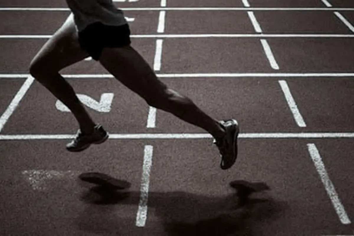 زمین دو میدانی