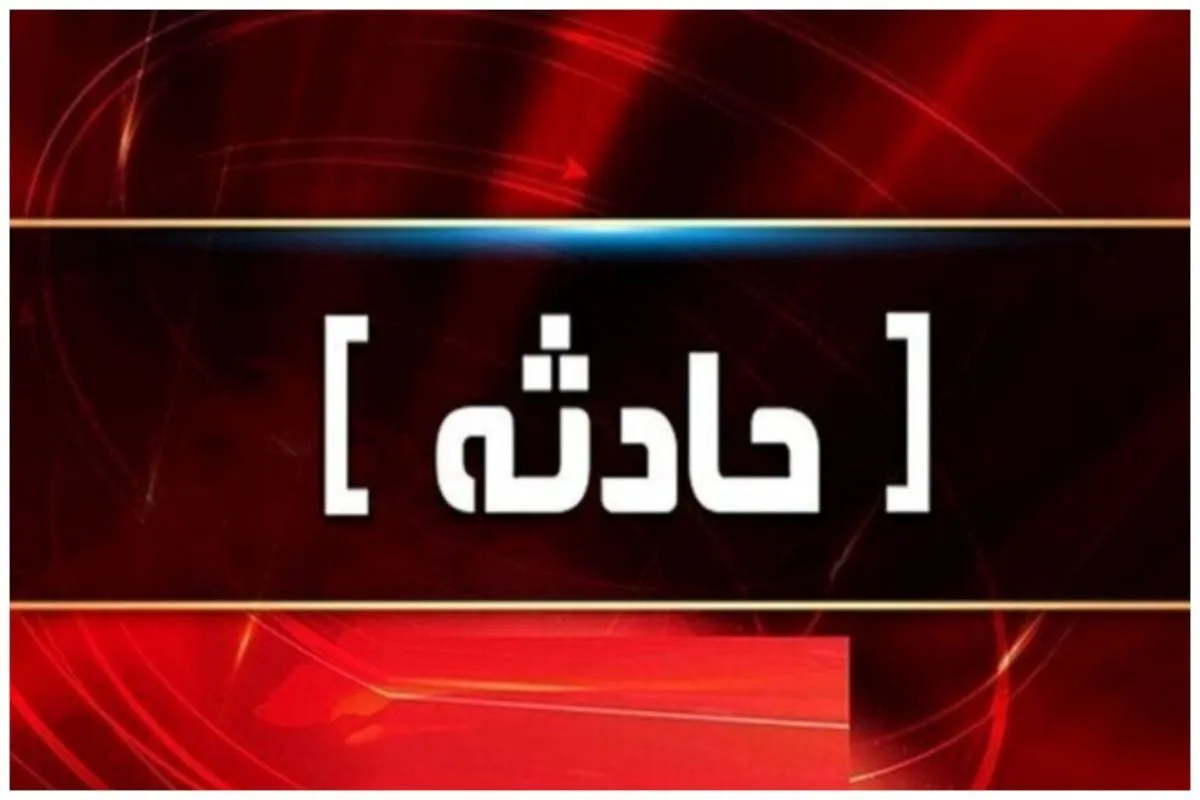 حمله وحشیانه یک اسراییلی به کودک دو ساله ایرانی در فرودگاه مسکو | فیلم