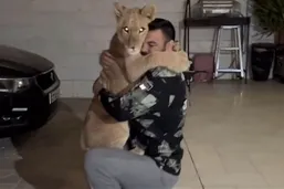 علی&zwnj;اکبری: عشقم این است که با پرچم ایران مبارزه کنم