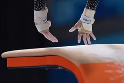 فدراسیون ژیمناستیک را پلمب کردند!