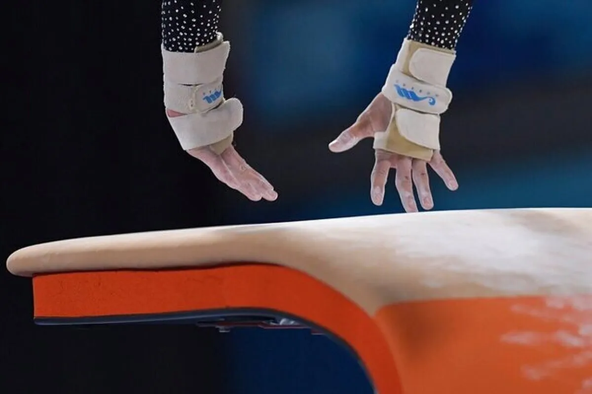 فدراسیون ژیمناستیک را پلمب کردند!