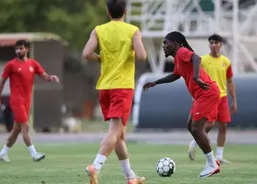 شایعه عجیب در مورد بیفوما تکذیب شد