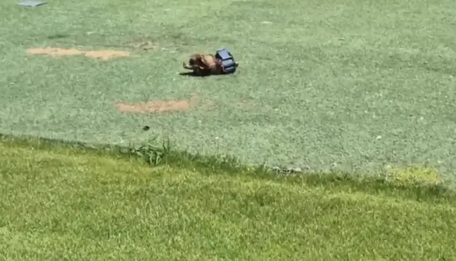 ترکش به جا مانده از حمله دشمن در زمین شماره دو ملی