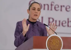 رئیس جمهور مکزیک 