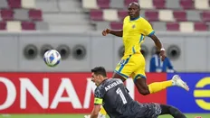 محمدرضا اخباری