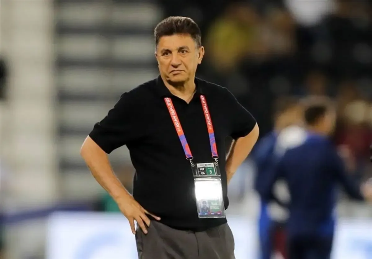 امیر قلعه نویی