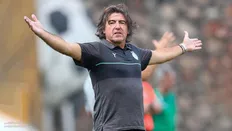 تصویر خبر تمجید اسطوره پرسپولیس از نمایش استقلال؛ فرشاد پیوس: تیم ساپینتو درخشان و هدفمند بازی می&zwnj;کند