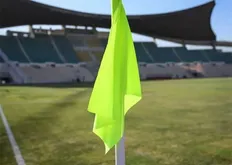 تصویر خبر ادعای مدیرکل ورزش و جوانان تهران برای تختی