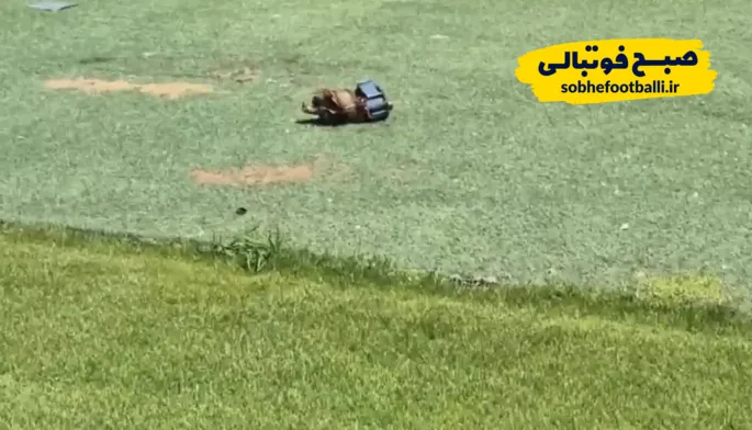 ترکش به جا در زمین فوتبال