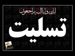 بیانیه فدراسیون تکواندو در پی شهادت یکی از تکواندوکاران ایرانی