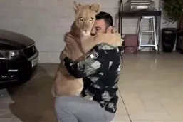 توله&zwnj;شیر امیر علی&zwnj;اکبری در پارک ارم تلف شد