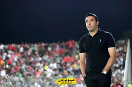 منظور ساپینتو از صحبت هایش نکونام بود؟