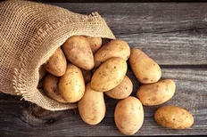 تصویر خبر عجیب اما واقعی | جایزه بهترین بازیکن زمین یک فرغون سیب زمینی!