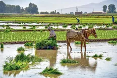 تصویر خبر بحران آب در ایران فقط یک آدرس دارد؛ از خانه&zwnj;های مردم بیرون بیایید!